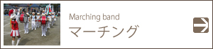 baner05